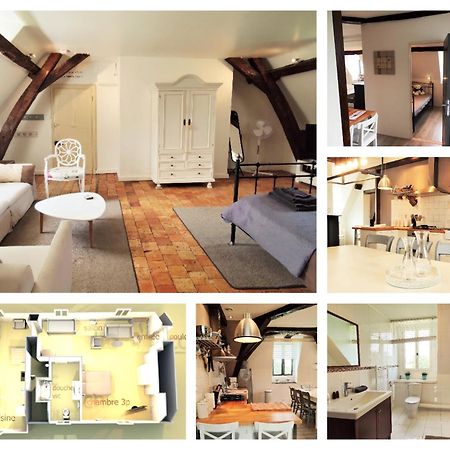 Chateau La Mothaye - Self Catering Apartments With Pool In The Loire Valley Les Bois-d'Anjou Екстериор снимка