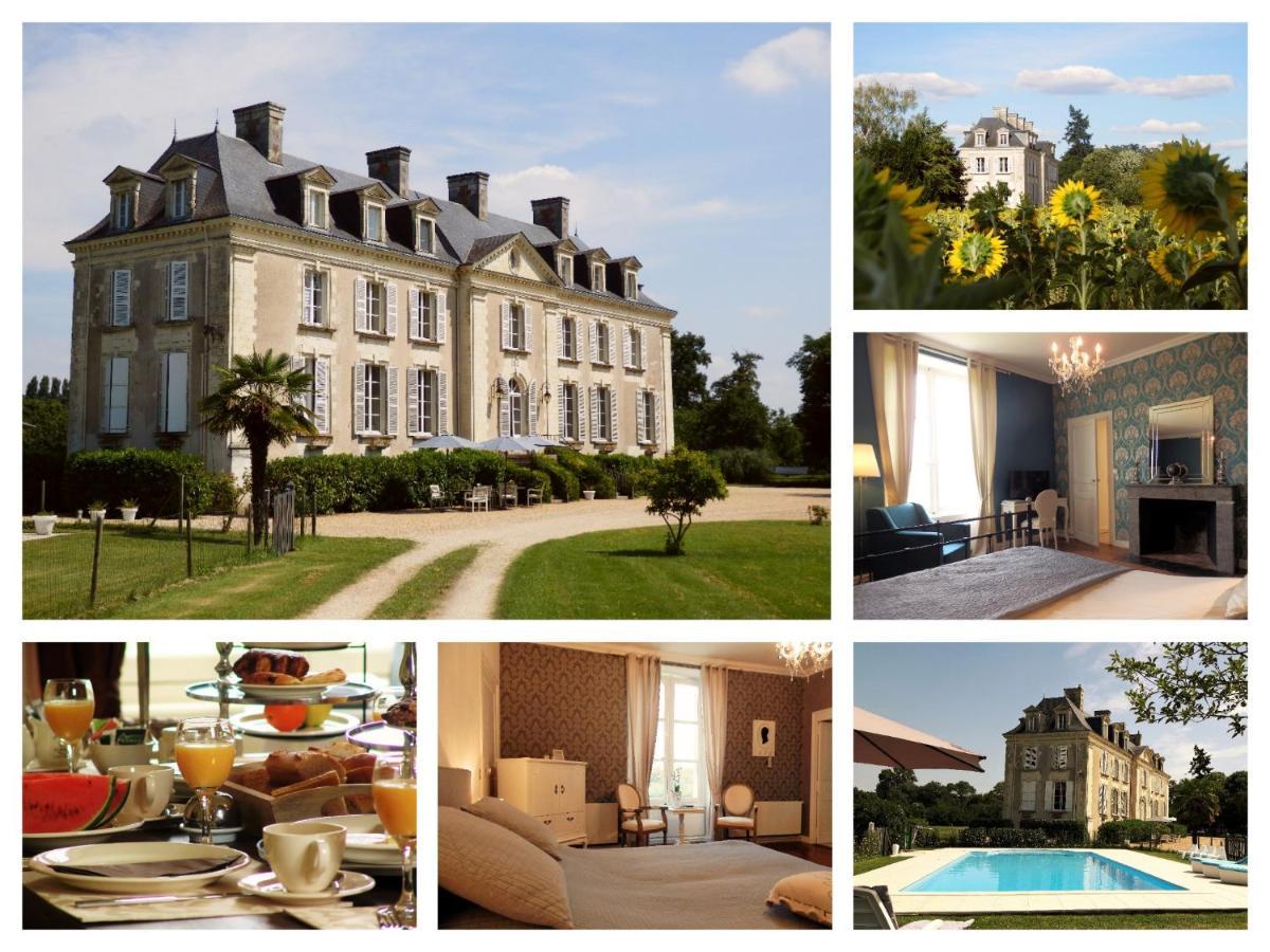 Chateau La Mothaye - Self Catering Apartments With Pool In The Loire Valley Les Bois-d'Anjou Екстериор снимка