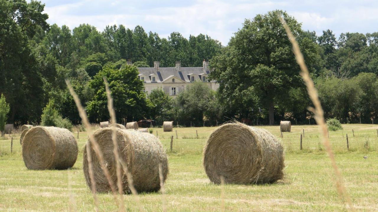 Chateau La Mothaye - Self Catering Apartments With Pool In The Loire Valley Les Bois-d'Anjou Екстериор снимка