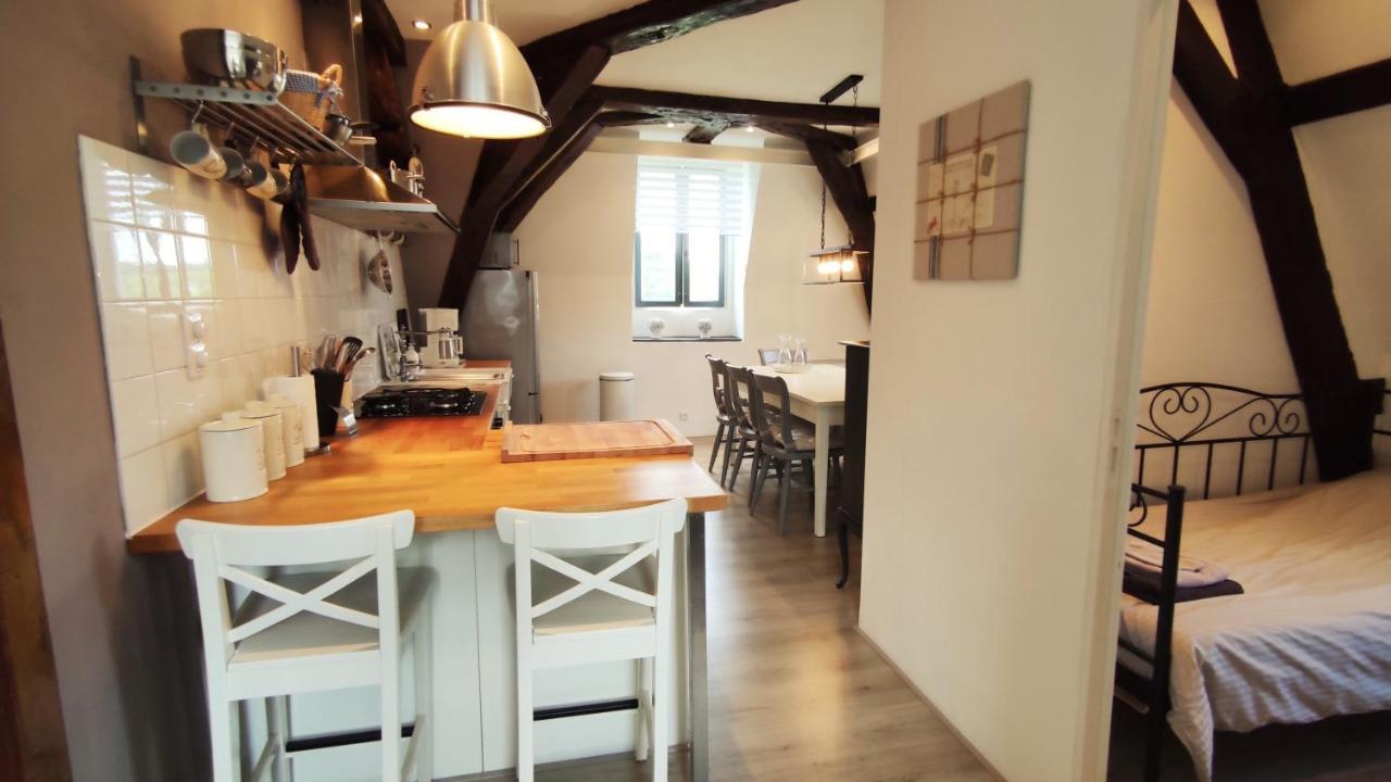 Chateau La Mothaye - Self Catering Apartments With Pool In The Loire Valley Les Bois-d'Anjou Екстериор снимка